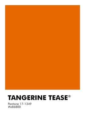 PANTONE TANGERINE TEASE