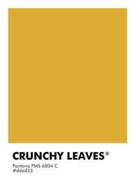 PANTONE CRUNCHY LEAVES