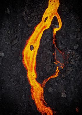 Lava Roots