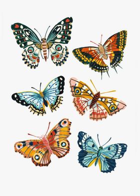 Butterflies Collection