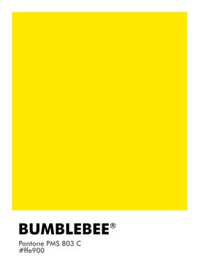 PANTONE BUMBLEBEE