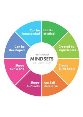 THE NATURE of MINDSET