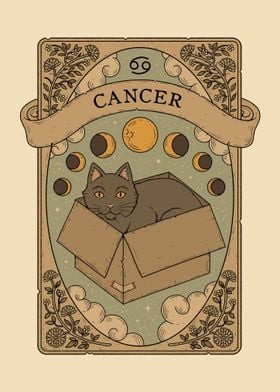 Cats Astrology Cancer