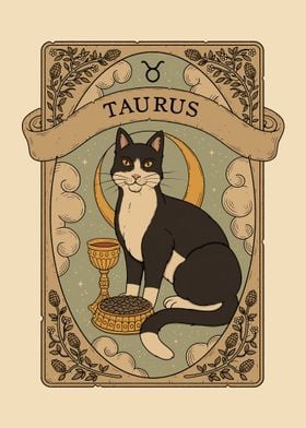Cats Astrology Aquarius