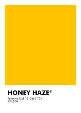 PANTONE HONEY HAZE