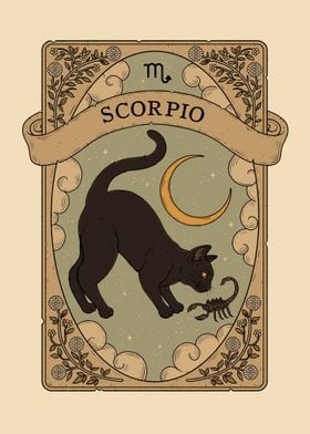 Cats Astrology Scorpio