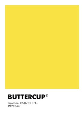 PANTONE BUTTERCUP