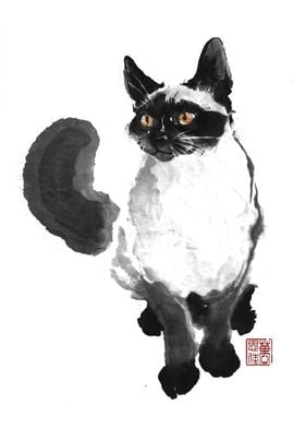 Siamese Cat