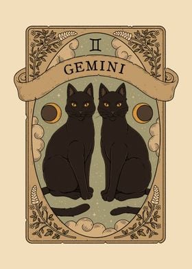 Cats Astrology Gemini