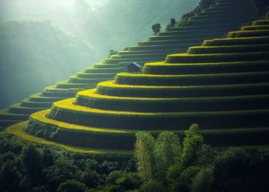 Vietnam Highlands