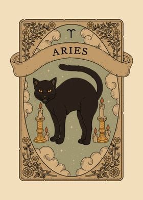 Cats Astrology Aries