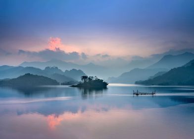 Foggy Lake Nature