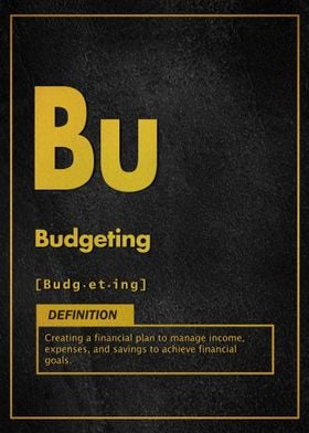 Budget definition