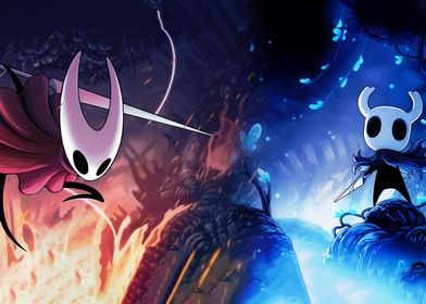 duo hollow knight