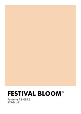 PANTONE FESTIVAL BLOOM