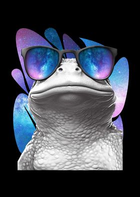 Space Galaxy Frog Glasses