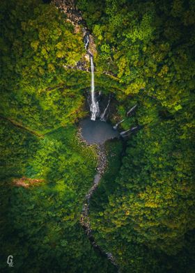 Waterfall Lush 