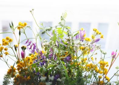 Floral Spring Plant