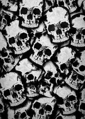 A bunch of skulls