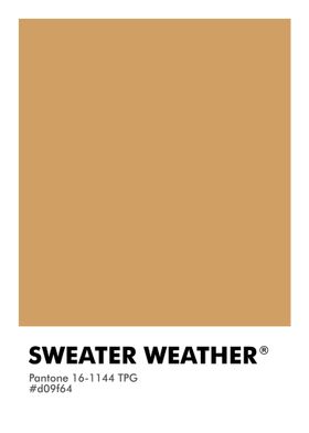 PANTONE SWEATER WEATHER