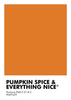 PANTONE PUMPKIN SPICE