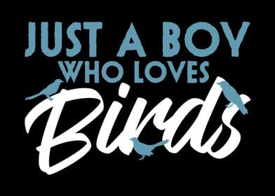 Bird Budgie Boy  Love