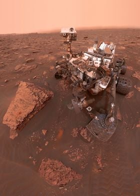 Curiosity selfie