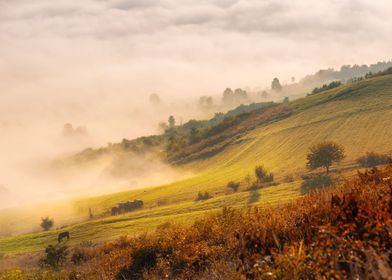 Autumn mountain landscape