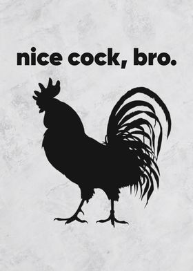 nice cock bro