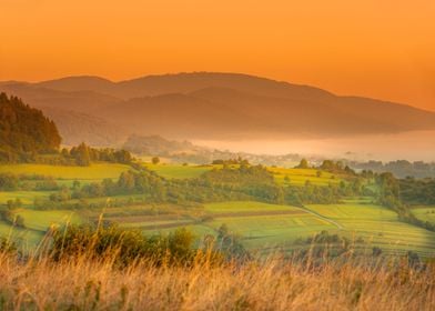 Fog and summer sunrise