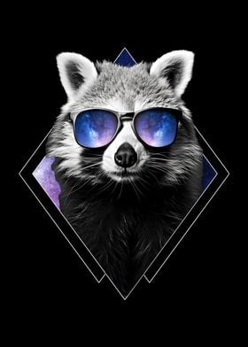 Space Raccoon Sunglasses