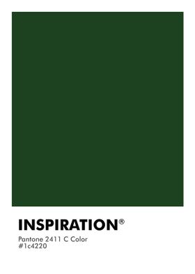 PANTONE INSPIRATION