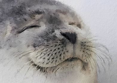 Satisfied Seal Meme