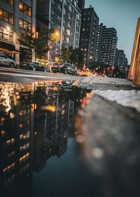 Puddle Reflection in NYC