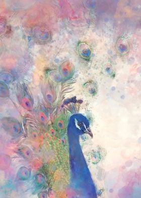 Peacock Watercolor