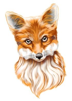 The moody fox