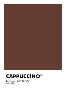 PANTONE CAPPUCCINO