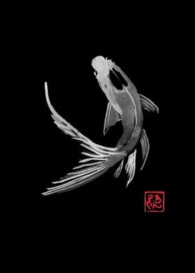 carp koi in black