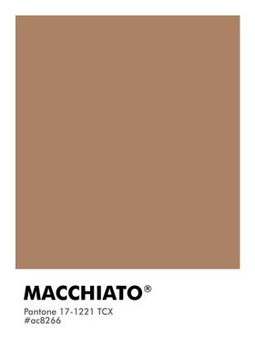 PANTONE MACCHIATO