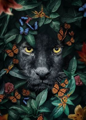 Black Panthers Gaze