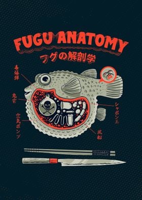 Fugu anatomy