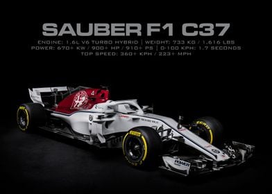 Sauber F1 C37
