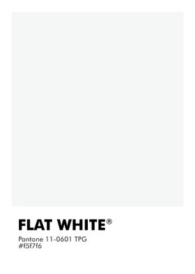 PANTONE FLAT WHITE