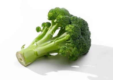 Broccoli Macro Photography