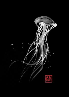 meduse in black