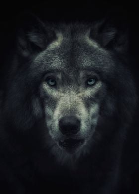 The Wolf Ghost
