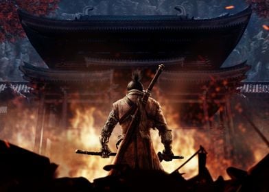 Sword Warrior Sekiro