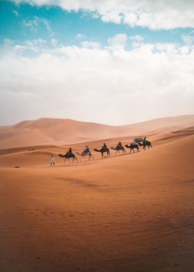 Sahara Desert