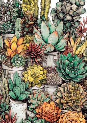 Succulents and cactus