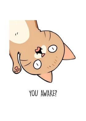 You Awake Funny Cat Meme